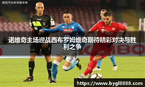 诺维奇主场迎战西布罗姆维奇期待精彩对决与胜利之争