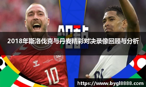 2018年斯洛伐克与丹麦精彩对决录像回顾与分析
